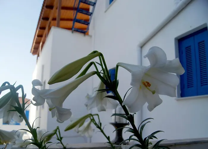 Apartamento Idroussa Batsi (Andros)