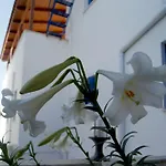 Apartamento Hydroussa Apartments Batsi (Andros)