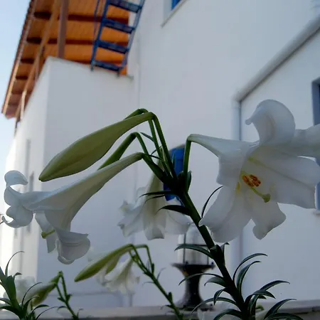 Διαμέρισμα Idroussa Μπατσί